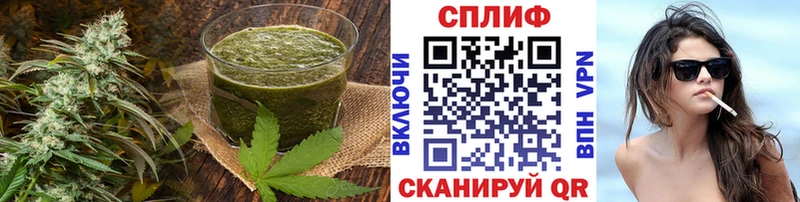 Canna-Cookies конопля  Дагестанские Огни 