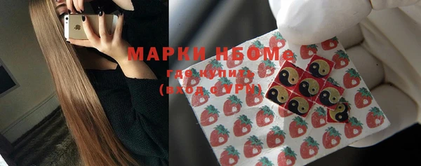 индика Белокуриха