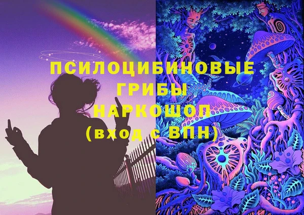 индика Белокуриха