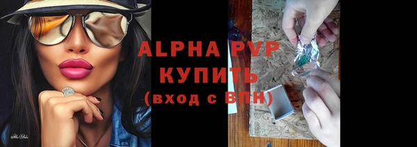 индика Белокуриха