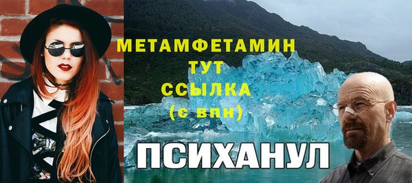 индика Белокуриха