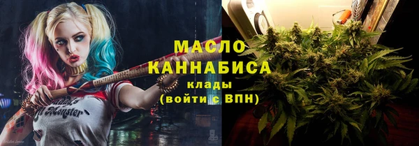 индика Белокуриха