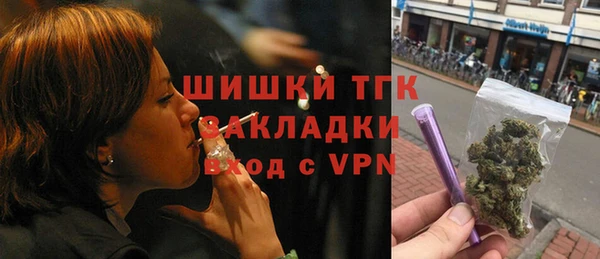 индика Белокуриха
