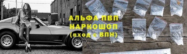 индика Белокуриха
