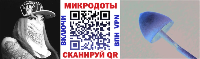 где продают   Дагестанские Огни  Псилоцибиновые грибы Magic Shrooms 