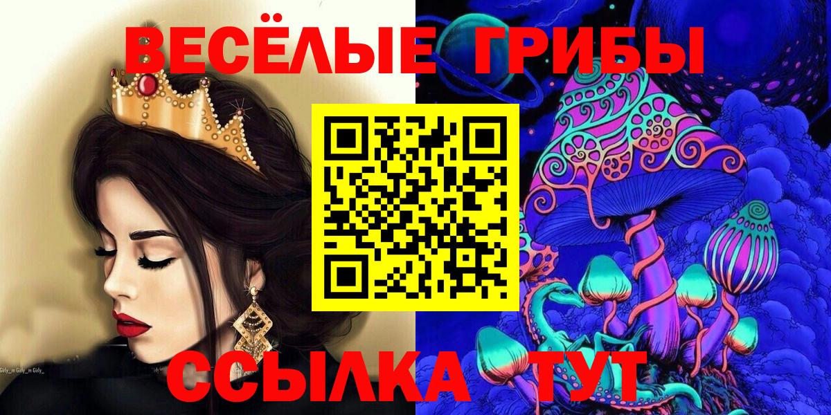Галлюциногенные грибы Psilocybine cubensis Дагестанские Огни
