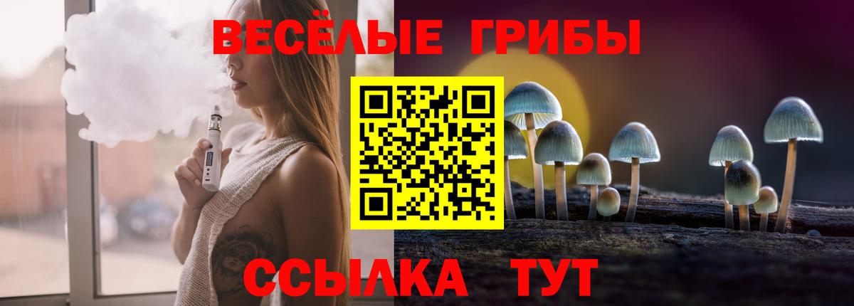 Галлюциногенные грибы Magic Shrooms  Вход с VPN  Галлюциногенные грибы Magic Shrooms  Дагестанские Огни 