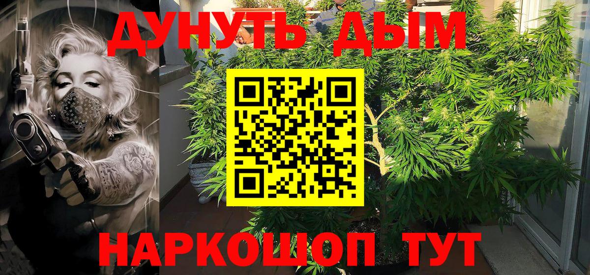 Шишки марихуана марихуана Дагестанские Огни